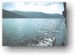 bort_sm.gif (7118 bytes)