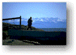 fishman_sm.gif (7243 bytes)