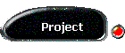 Project